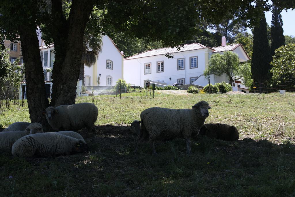 Eugaria Country House By Lost Lisbon Sintra Eksteriør bilde